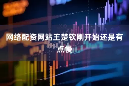 网络配资网站王楚钦刚开始还是有点慢