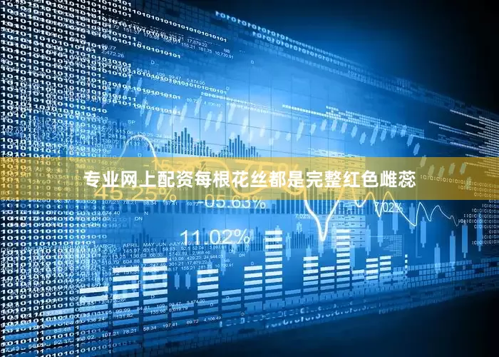 专业网上配资每根花丝都是完整红色雌蕊